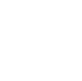 Logo France 2030
